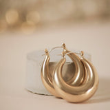 Della Brass and Silver Drop Hoop Earrings