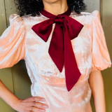 Sophie Blouse in Ballet Pink Velvet with Contrast Tie