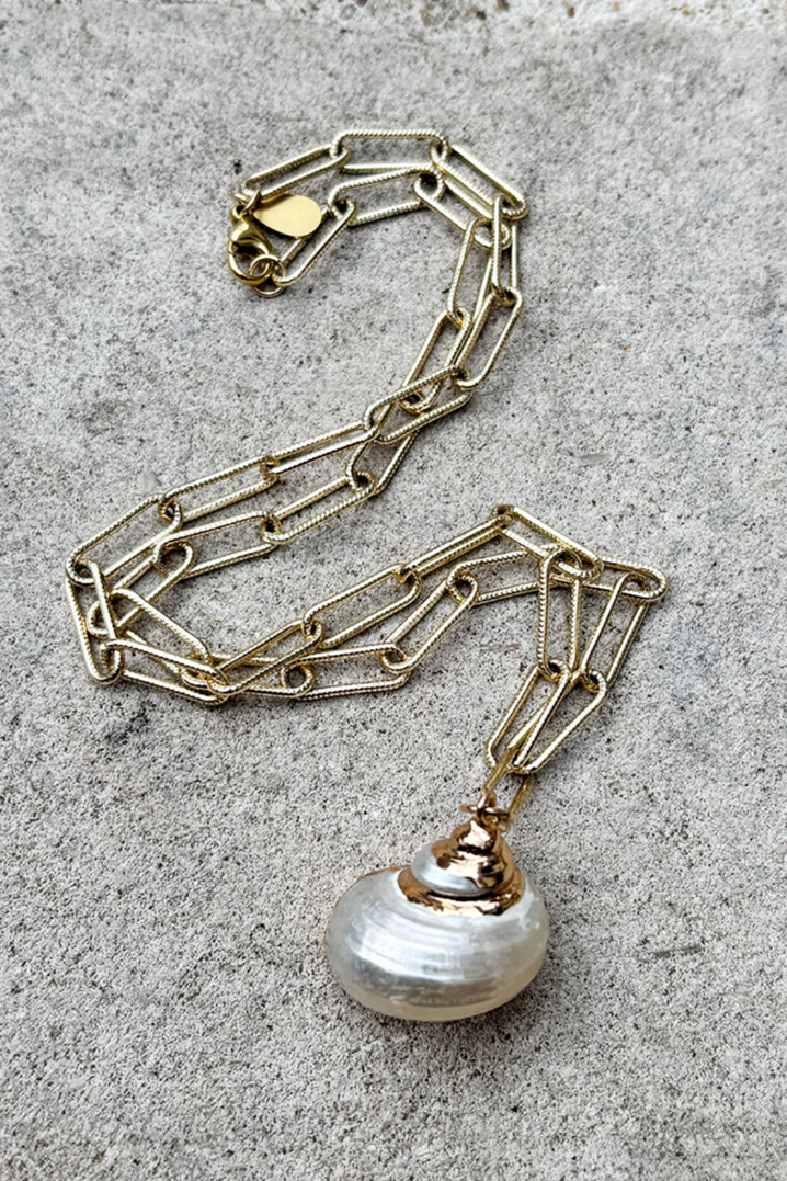 Gold plated necklace featuring a delicate single shell pendant on a fine chain.
