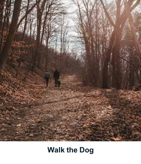 Walk the Dog