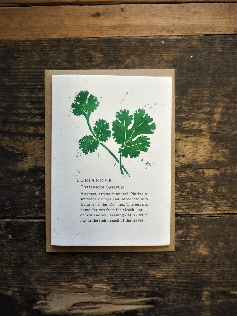 This coriander card is a fun and original idea for a card, sold by Percy Langley