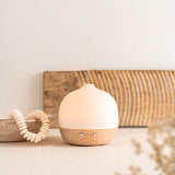 Restore Diffuser Oil 10ml Blend by Percy Langley
