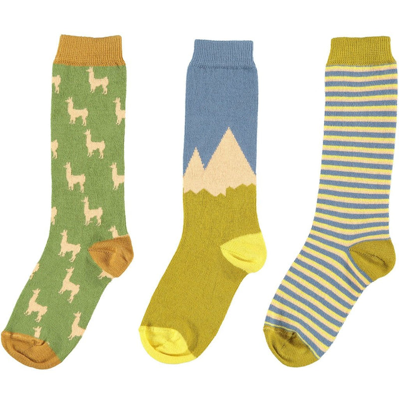 Children's Pack of 3 Organic Cotton Knee Socks in Green