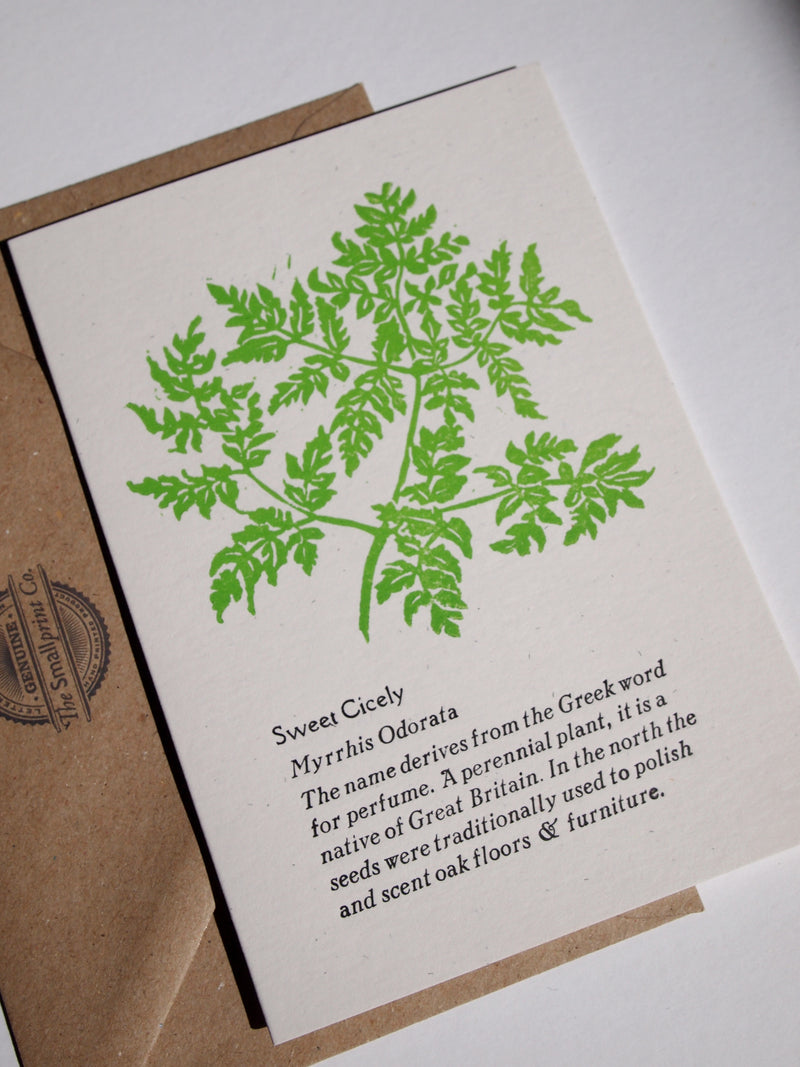 A fun and informative card for any botanical green fingered people out there, sold by Percy Langley