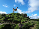 Muddiford Alpaca Jumper by Percy Langley